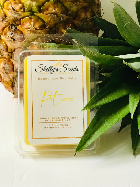 2.5oz Patience Wax Melts